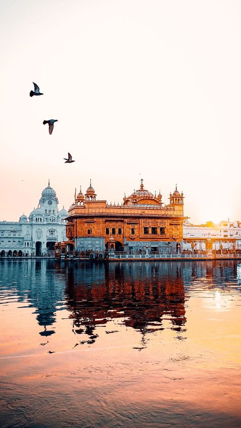 Goldantempal Amritsar, Golden Temple Amritsar Photography Hd, Golden Temple Amritsar Hd Wallpaper, Golden Temple Hd Wallpaper, Harminder Sahib Golden Temple Wallpaper, Golden Temple Aesthetic, Amritsar Aesthetic, Amritsar Photography, Sikh Aesthetic