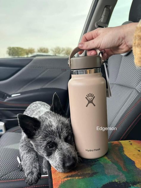 Hydroflask Brown, Brown Water Bottle, Starbucks Merchandise, Trendy Drinks, Spooky Basket, Flask Water Bottle, Self Care Bullet Journal, Water Bottle Design, Girly Accessories