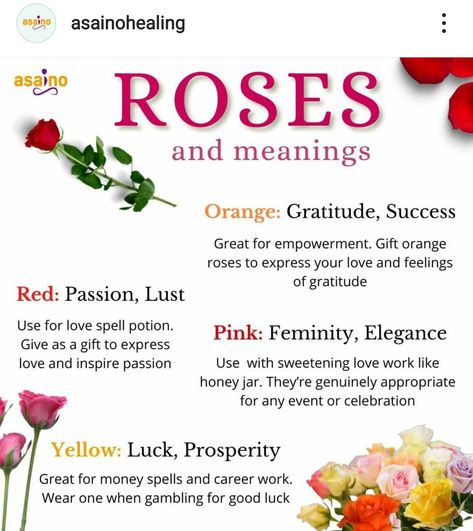 Rose Petal Magic, Rose Petal Uses Witchcraft, Roses Witchcraft, Herb Pantry, Witchy Corner, Witch Plants, Rose Petal Uses, Magickal Correspondences, Rose Magic