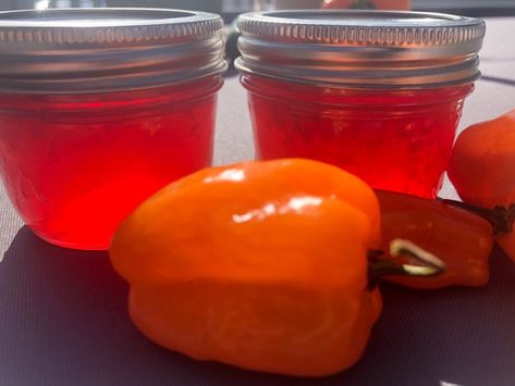 Rhubarb Habanero Jelly : Served With Ice : cheese tray add on Habanero Jelly, Rhubarb Jelly, Rhubarb And Ginger Gin, Rhubarb Juice, Pepper Jelly Recipes, Jalapeno Popper Recipes, Poppers Recipe, Jalapeno Recipes, Canned Food Storage