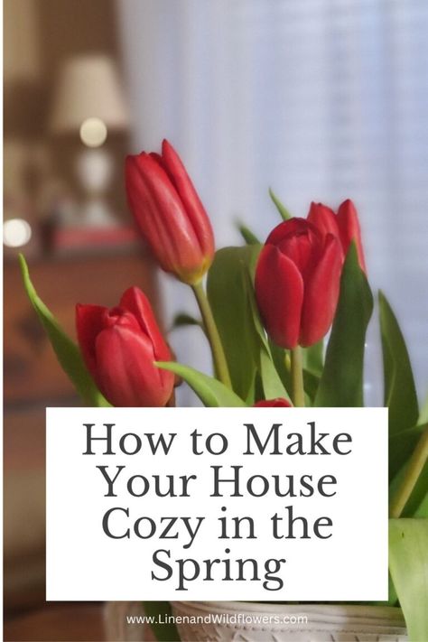 Make Your House Cozy, House Cozy, Happy Homemaking, Cottagecore Living, Make Your Home Cozy, Spring Refresh, Home Cozy, Budget Friendly Decor, Spring Aesthetic