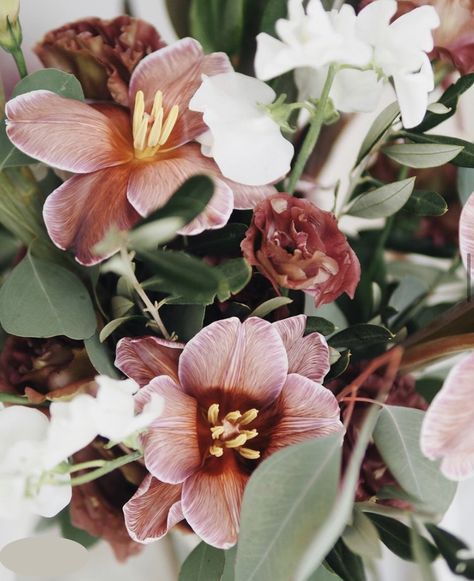 Tulip Brownies from Floral Magic Wedding Inspo, Brownies, Tulips, Wedding Inspiration, Plants, Floral