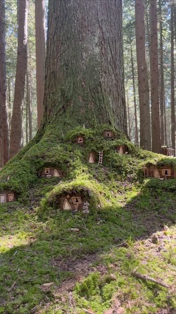 Natural Fairy Houses, Fairy House Diy Natural Materials, Fairy Woods, Maple Seeds, Fairy Garden Art, Diy Jardin, Fairy Tree Houses, Jardim Diy, Fairy Village