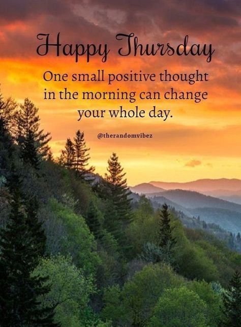 Quotes For Thursday, Thursday Quotes Good Morning, Wonderful Day Quotes, Happy Teddy Day Images, Thursday Inspiration, Thursday Images, Thursday Greetings, Spring Scenery, Happy Thursday Quotes