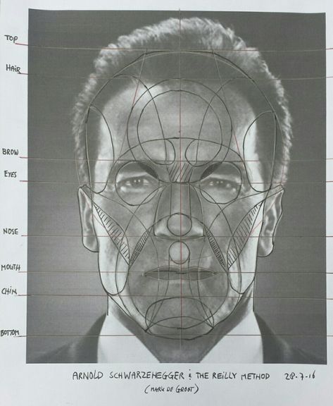 Reilly method practise with a photo of Arnold Schwarzenegger. #reillymethod #head #proportion #face #arnold #schwarzenegger #markdegroot Frank Reilly, Reilly Method, Head Proportions, Planes Of The Face, Portrait Tutorial, Face Anatomy, Head Drawing, Human Anatomy Drawing, Drawing Heads