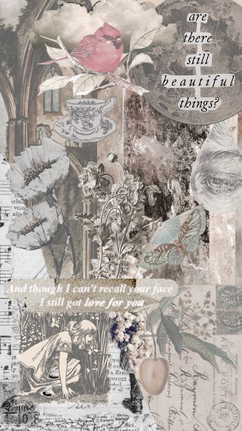 Are there still beautiful things? #taylorswift #vibes #vintage #wallpaper #art #quotes Wallpaper Art, Vintage Wallpaper, Beautiful Things, Art Quotes, Taylor Swift, Swift, Quotes, Art