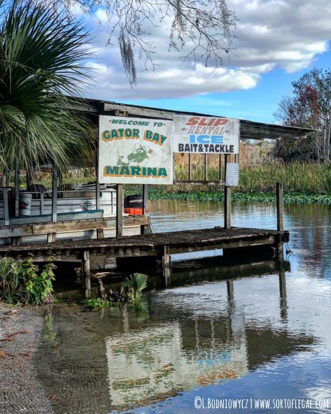 Southern Florida, Kissimmee Florida Aesthetic, Small Town Florida Aesthetic, Rural Florida Aesthetic, Leesburg Florida, Rural Florida, Alligator Alley Florida, Florida Gators Aesthetic, Everglades City Florida