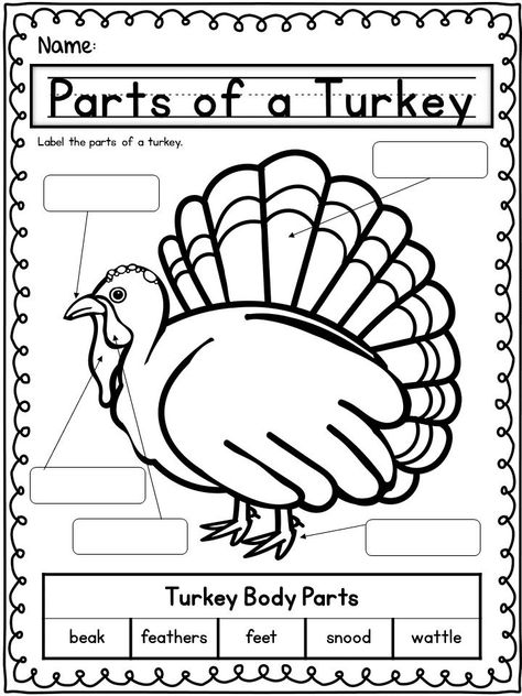 Food Worksheet, November Lesson Plans, Kindergarten October, Turkey Printable, November Classroom, Thanksgiving Activities Preschool, Cook A Turkey, Fall Lesson Plans, Thanksgiving Lessons