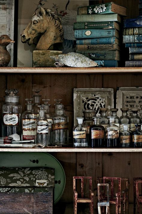 Garden Academia, Academia Inspiration, Cabinet Of Curiosity, Curiosity Cabinet, Living Vintage, By Any Means Necessary, Seaside Cottage, Apothecary Bottles, Cabinet Of Curiosities