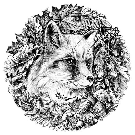 Coloring Pictures Of Animals, Concert Poster Design, Spirit Animal Art, Flower Graphic Design, Black And White Art Drawing, Adult Coloring Designs, Detailed Coloring Pages, Wood Burning Art, Fox Art