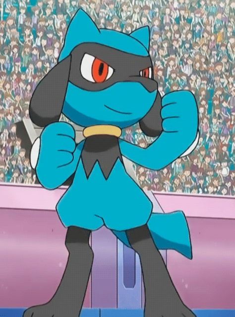 Riolu Pokemon, Pokemon W, Lucario Pokemon, Pokemon Pins, Pokemon Collection, Pokemon Teams, Catch Em All, Cute Pokemon, Steven Universe