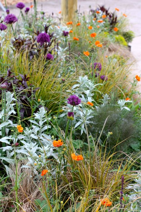 Prairie Garden, Permaculture Design, Landscape Designs, Have Inspiration, Flower Landscape, Purple And Orange, Chelsea Flower, Chelsea Flower Show, Perennial Garden