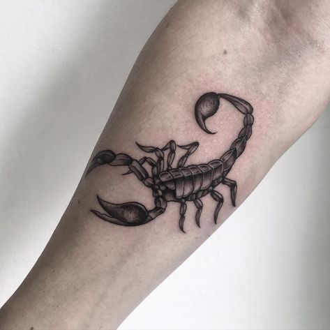 Blackwork Scorpion Tattoo, Scorpion Arm Tattoo, Scorpion Tattoo For Men, Flower Sketch Pencil, Scorpio Tattoo, Scorpion Tattoo, Hand Tattoos For Guys, Arm Tattoos For Guys, Dope Tattoos