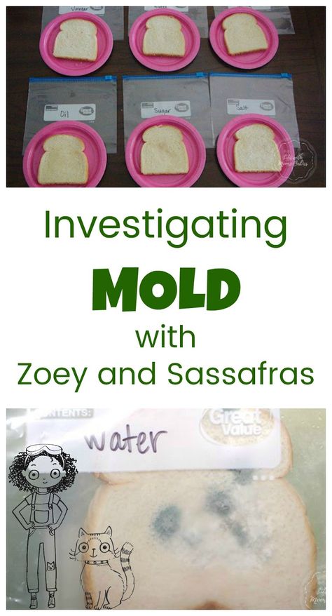 Growing and preventing mold is a fun, hands-on science activity for kids and pairs perfectly with the book, Zoey and Sassafras: Monsters and Mold. Experimental Art Ideas, Germs Preschool, Hero Bedroom, Winter Fairies, Learn Anatomy, Space Building, Play Preschool, Brownie Ideas, Science Experiment For Kids