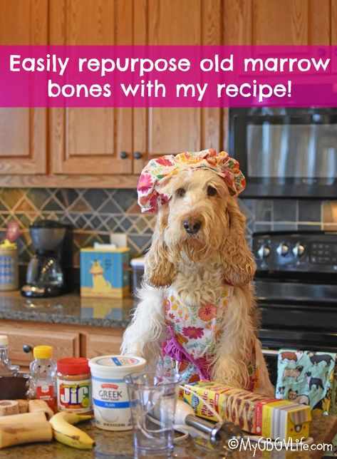 Easily Repurpose Old Marrow Bones With My Recipe - My GBGV Life Marrow Bones For Dogs, Stuffed Marrow, Natural Dog Remedies, Beef Marrow Bones, Pet Remedies, Dog Remedies, Diy Dog Treats, Healthy Dog Food Recipes, Stuffing Recipes