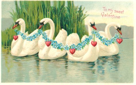 Valentines Cards Vintage, What Is Romantic, Antique Valentines, Valentine Card Template, Carol Ann Duffy, Happy V Day, Victorian Valentines, Art Valentines, France Gall