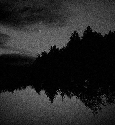 Timothy Sumer - Photography Darkness falls. Wolf Aesthetic, Arte Occulta, Emo Pfp, Dark Nature, Dark Landscape, Creepy Images, Darkness Falls, Shotting Photo, Dark Paradise