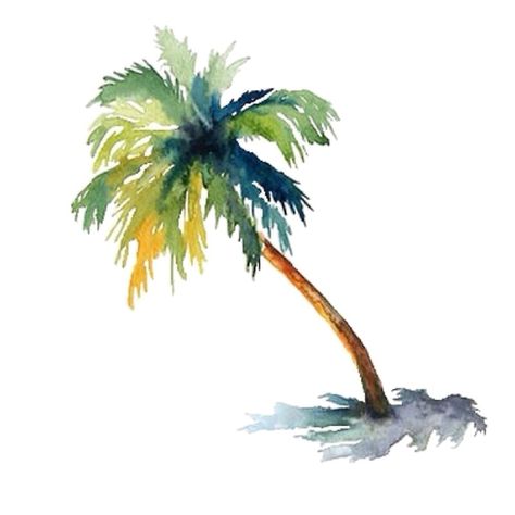 Watercolor palm tree Palm Tree Sticker, Palm Tree Drawing, Tree Watercolor Painting, Palm Trees Painting, Palm Tree Art, Watercolor Tree, Watercolour Inspiration, Beach Watercolor, Watercolor Painting Techniques