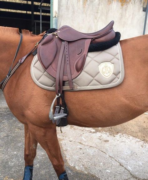 Horse Saddles English, English Tack Sets, Pretty Pets, English Horse Tack, Horse Riding Aesthetic, English Tack, Dream Horse Barns, Saddle Pads English, Horse Saddle Pads