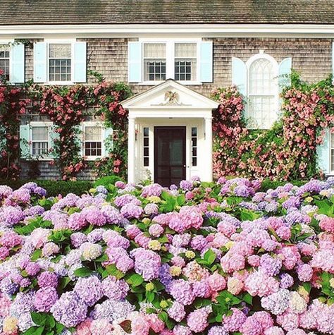 TGP TIDBITS: HILL HOUSE HOME, NANTUCKET, CELERIE KEMBLE, AND THE NORDSTROM ANNIVERSARY SALE - The Glam Pad House With Hydrangeas, Nantucket Houses, Shingle Cottage, Martha Vineyard, England Vacation, Spring Cottage, Hill House Home, Nantucket Style, English Summer