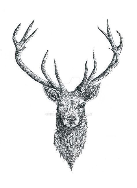 Stag Tattoo Design, Head Tattoo Design, Owl Eye Tattoo, Antler Tattoos, Deer Head Tattoo, Elk Tattoo, Antler Tattoo, True Love Tattoo, Deer Skull Tattoos