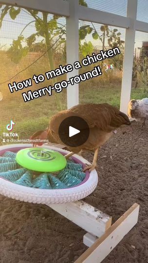 Chicken Toys Ideas Easy Diy, Chicken Enrichment Toys, Chicken Merry Go Round Diy, Chicken Diy Toys, Chicken Boredom Buster Diy Toys, Chicken Enrichment Diy, Diy Chicken Accessories, Chicken Run Enrichment, Chicken Toys Diy