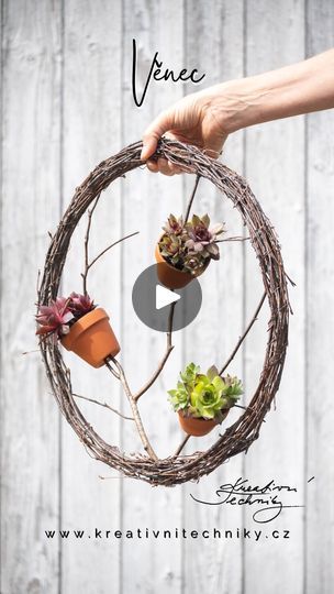 Plant Wreath, Cactus Arrangement, Succulent Planter Diy, Fleurs Diy, Small Flower Pots, Diy Arrangements, Xmas Wreaths, House Plants Decor, Do You