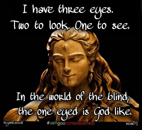 I have three eyes. Two to look. One to see. In the world of the blind, the one eyed is God-ike. God's Eye, Three Eyes, Gods Eye, Third Eye, To Look, The One, That Look, The World, Movie Posters