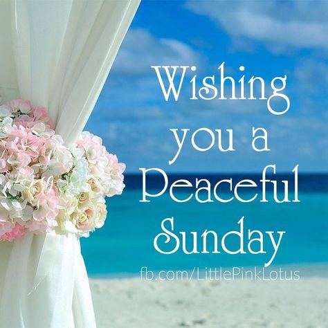 Happy Sunday! I hope you're having a wonderful and blessed day!! God bless you. #newday #peace #love #blessings #faith #happiness #Godisgood #lovelyday #awesome #beautifulday #winter #staywarm #sunday #wellspent #content #wellspentandcontent #sundayfunday #relax #peace #peacefulsunday Happy Sunday Pictures, Free Family Printables, Peaceful Sunday, Good Morning Christmas, Good Morning Winter, Happy Sunday Morning, Sunday Quotes Funny, Sunday Pictures, Photos For Facebook