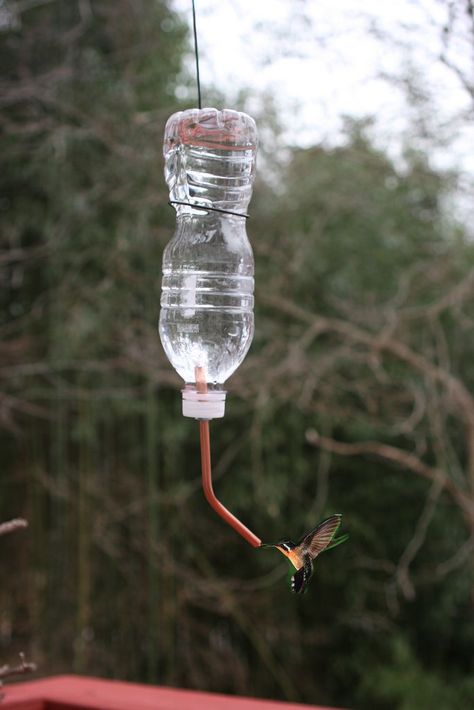 DIY Hummingbird feeder.  Read the instruction and it's quite easy.  Will be a great project for my kids. Homemade Hummingbird Feeder, Diy Hummingbird Feeder, Bottle Bird Feeder, Water Bottle Caps, Empty Plastic Bottles, Reuse Plastic Bottles, Homemade Bird Feeders, Glass Hummingbird Feeders, Hummingbird Feeder