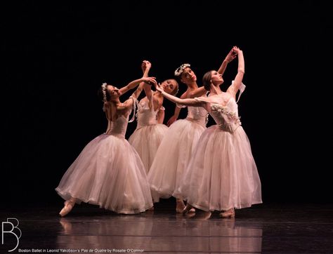 Boston Ballet in Yakobson's Pas de Quatre Ashley Ellis, Boston Ballet, Hip Hop Dancer, Ballet Bag, Pretty Ballerinas, The Ballet, Professional Dancers, Dancing Queen, Dance Photography