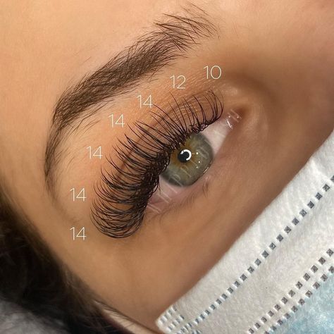 Classic Lash Extension Mapping, Classic Open Eye Lash Map, Classic Lash Mapping Eyelash Extensions, Natural Eyelash Mapping, Eyelash Extensions Mapping Styles Hybrid, Lash Extensions Mapping Styles Classic, Eyelash Extensions With Mapping, Classic Set Eyelash Extensions Mapping, Classic Lash Maps