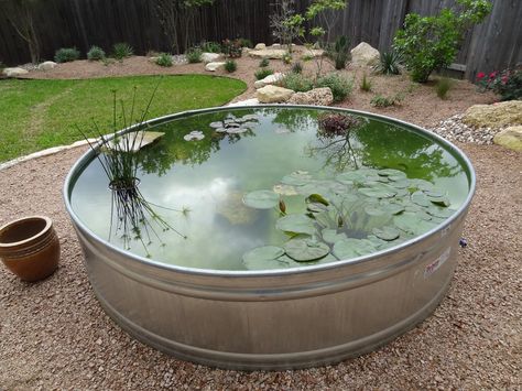 A pond in a large metal tub Diy Outdoor Pond, Water Trough Ponds, Galvanized Water Trough, Ponds Ideas, Above Ground Pond, Raised Pond, Fishing Pond, Backyard Ponds, Diy Water Feature