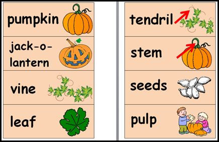 Halloween Theme Preschool, Head Start Classroom, Halloween Stem Activities, Pumpkins Preschool, Pumpkins Kindergarten, Halloween Teaching, Pumpkin Unit, October School, Preschool Language