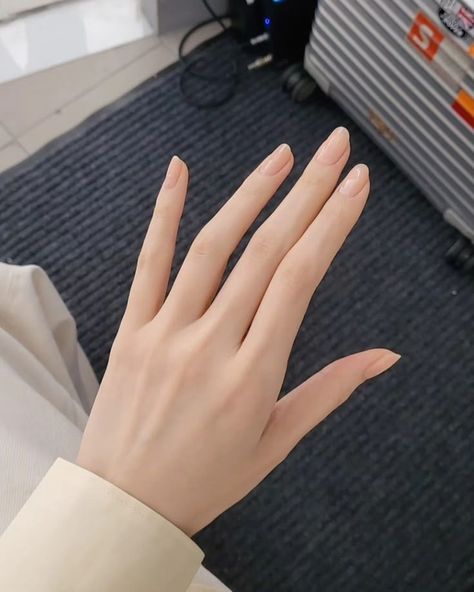 Korean Hands, Slim Fingers, Feminine Hands, Slim Hands, Girl's Hand, Aesthetic Hands, Long Fingers, Resort Design Plan, Desired Appearance