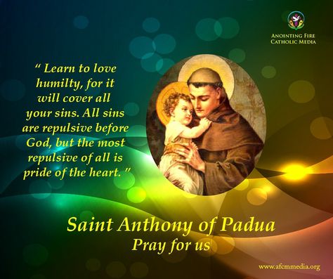 Catholic saints St Anthony Feast Wishes, St Anthony's Feast, Rosary Prayers, Prayers Catholic, Rosary Prayers Catholic, Saint Bonaventure, Saint Antony, The Miracle Worker, Anthony Of Padua