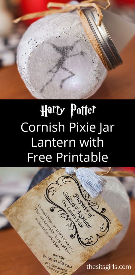 Harry Potter Cornish Pixie, Harry Potter Weihnachten, Harry Potter Light, Harry Potter Christmas Decorations, Classe Harry Potter, Cornish Pixie, Fairy Lantern, The Pixies, Harry Potter Ornaments