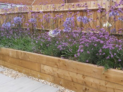 Raised Border Gardens Along Fence, Raised Timber Garden Beds, Sleeper Raised Beds Garden Edging, Raised Flower Bed Against House, Raised Beds Patio, Raised Bed Along Fence Line, Raised Bed Patio Border, Lavender Raised Garden Bed, Sleepers Garden Ideas Raised Beds