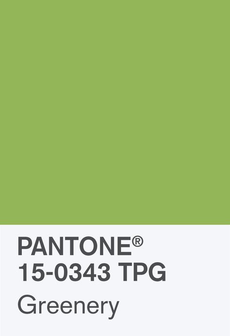 Pantone Color of the Year 2017: PANTONE 15-0343 Greenery Chip Pantone Green, Pantone 2017, Pantone Colour Palettes, Colour Board, Color Of The Year, Colour Schemes, Green Aesthetic, Pantone Color, Color Trends