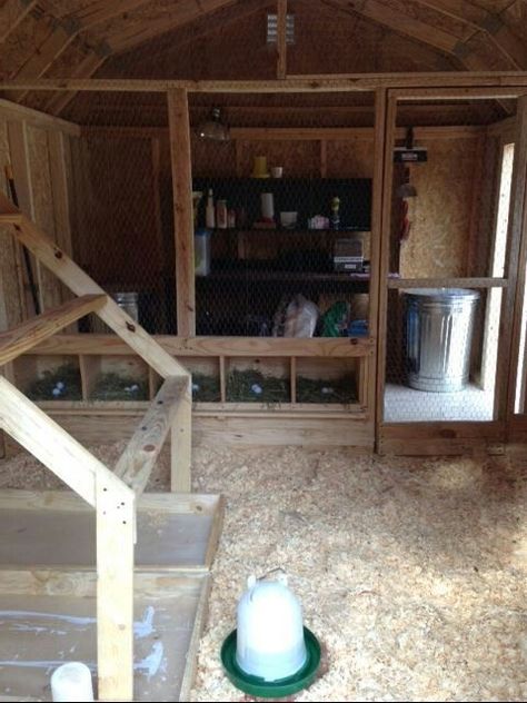 Chicken Coops Inside! Pictures Plans | Coop interior Lifestyle Block, Easy Chicken Coop, Chicken Shed, Chicken Barn, Urban Chickens, Chicken Life, Backyard Chicken Farming, Coop Design, Chicken Coop Designs