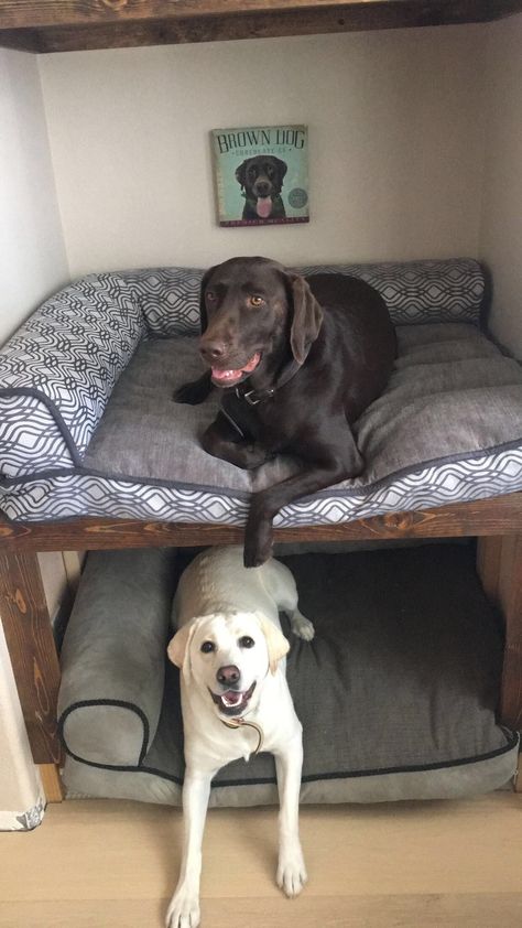 Dog Area In Bedroom Ideas, Dogs In Bedroom, Dog Bed In Closet Ideas, Dog Bed Under Desk, Dog Bed In Bedroom Ideas, Double Decker Dog Bed, Room For Dog In House, Tiny House Dog Friendly, Hidden Dog Bed