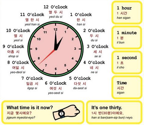 Telling Time in Korean Korea Sentences, Learning Korean Grammar, Learn Basic Korean, Learn Korean Alphabet, Korean Learning, Materi Bahasa Jepang, Learn Hangul, Learn Korea, Korea Trip