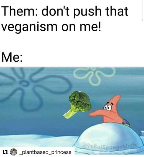 Vegan Memes Funny, Vegan Sayings, Vegetarian Memes, Vegan Meme, Vegan Jokes, Vegan Funny, Vegan Magazine, Vegan Facts, Vegan Vibes