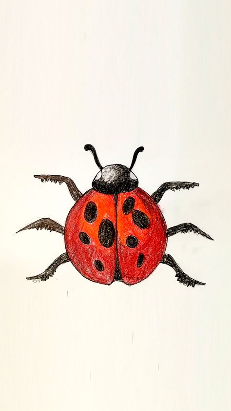 How to Draw Ladybug Easy Step by Step Ladybug Illustration, Ladybug Drawing, Crayon Drawings, Color Pencil Drawing, Color Pencil, Drawing Skills, Art Tutorial, Pencil Drawing, Key Chains