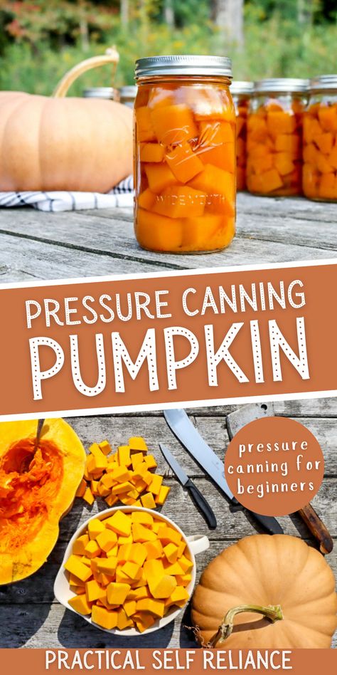 Canning Pumpkin Puree, Pressure Canner Recipes, Canning Pumpkin, Canning Squash, Canning Pressure Cooker, Can Pumpkin, Easy Canning, Pressure Canning Recipes, Canning Fruit