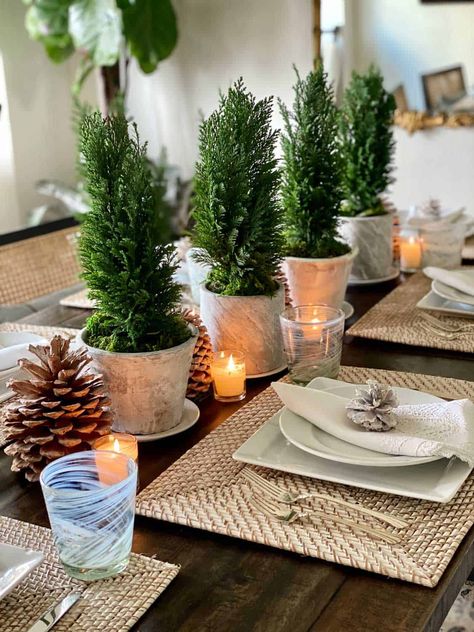 Diy Plant Crafts, Natural Holiday Decor, Plants Interior, Plant Styling, Table Centerpieces Diy, Plant Crafts, Tree Centerpieces, Christmas Plants, Faux Snow