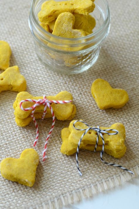 Homemade Pumpkin & Brown Rice Flour Dog Treats Rice Flour Dog Treats, Dog Biscuits Recipes, Recipes With Brown Rice, Biscuits Recipes, Doggy Treats, Seared Chicken Breast, Dog Breeding, Dog Biscuit Recipes, Maggie Mae