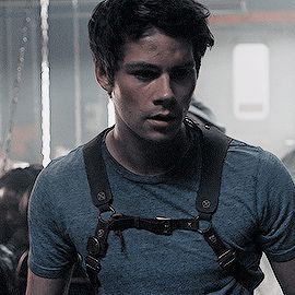 Dylan O'brien Maze Runner, Dylan O Brien Gif, Steven R Mcqueen, Jake T Austin, Dylan O Brien Cute, Dylan O Brain, Octavia Blake, Dylan Obrian, Maze Runner Movie