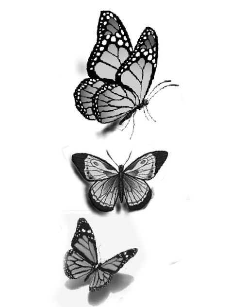 Butterfly With Shadow Tattoo, Black And Grey Butterfly Tattoo, Black And Grey Butterfly, Lilly Flower Tattoo, Easy Butterfly Drawing, Borboleta Tattoo, Butterfly Tattoos On Arm, Shadow Tattoo, Half Sleeve Tattoos Drawings