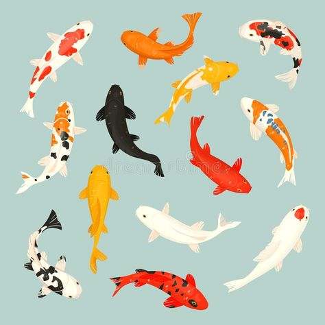 Koi Fish Vector, Chinese Goldfish, Tato Ikan Koi, Illustration Japanese, Koi Painting, Koi Fish Drawing, Koi Fish Designs, Ikan Koi, Koi Art